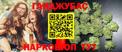 скорость Кингисепп