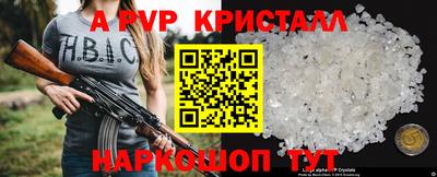 скорость Кингисепп