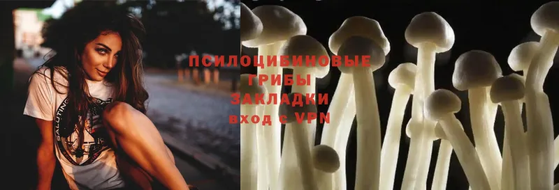 Псилоцибиновые грибы Magic Shrooms  Коломна 