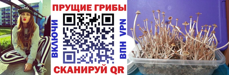 Галлюциногенные грибы мухоморы  Коломна 