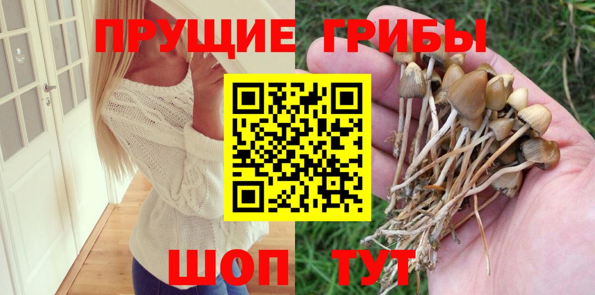 Галлюциногенные грибы мицелий Коломна