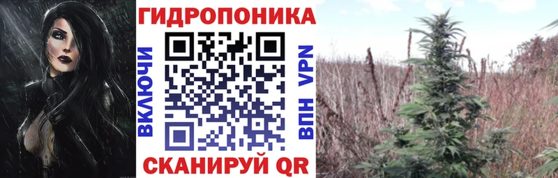 мориарти состав Коломна Бошки Шишки индика